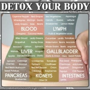 Detox your body