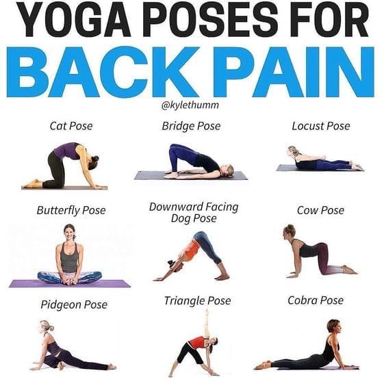 Yoga For Back Pain: 6 Spinal Health Stretches | Yoga Mind Body