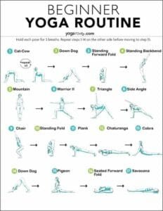 Beginner's Yoga