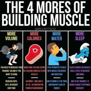 Muscle Building Nutrition