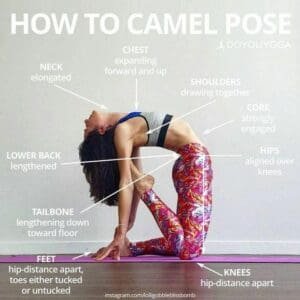 advanced yoga - Camel pose